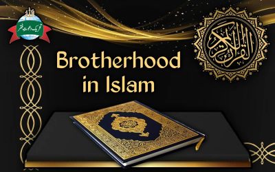 Brotherhood in Islam | Today’s Need
