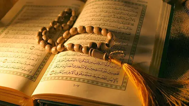 What Quran says about Gratitude?