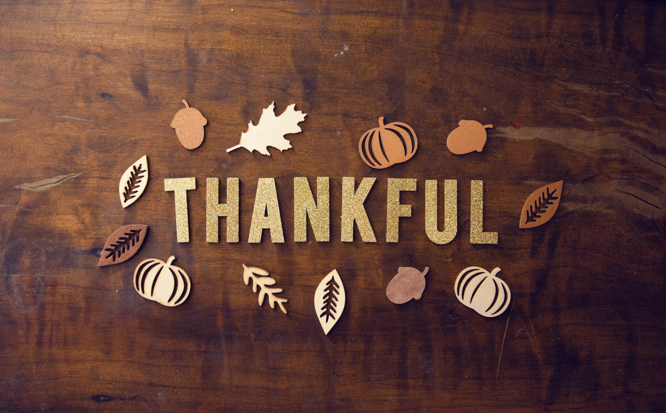 The Importance of Gratitude and Being Thankful